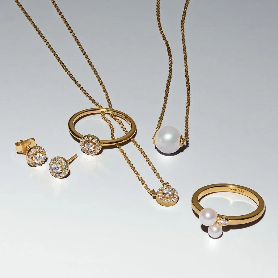 Brincos Espigão Auréola Redonda Pavé