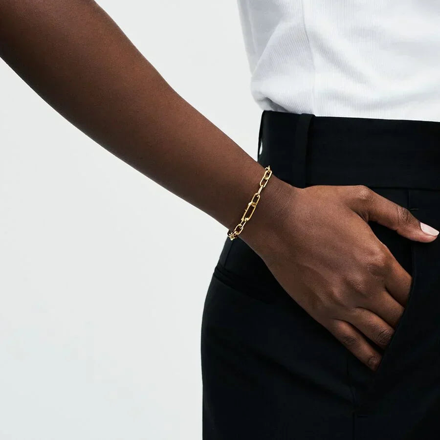 Pulseira de Elos Pandora ME